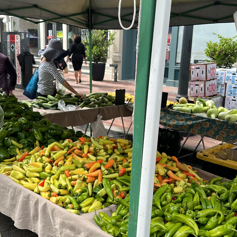 A vibrant farmers market stall overflowing with fresh green and colorful peppers, with shoppers in the background.