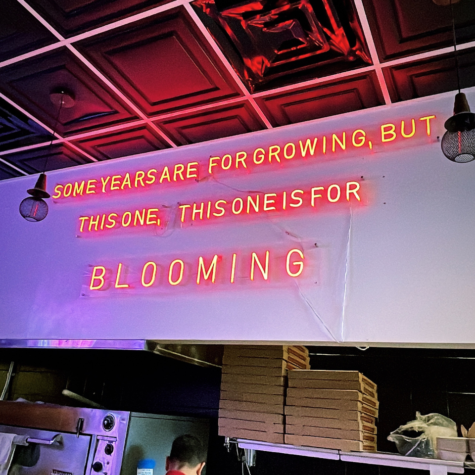 Neon sign at Bloom pizzeria reads "SOME YEARS ARE FOR GROWING, BUT THIS ONE, THIS ONE IS FOR BLOOMING".